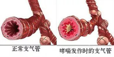 讲的好，记得牢！这可能是我见过最高效的“药理学”学习法啦！