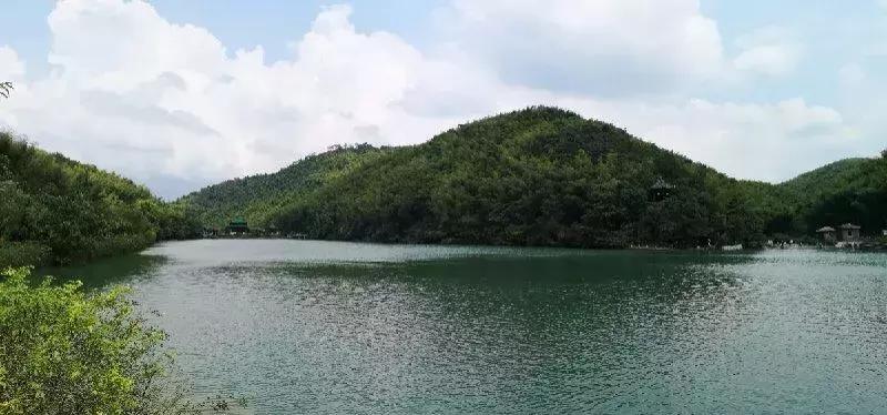 宜兴竹海吹起了一股简洁风,吹来了一波纯色壁纸~