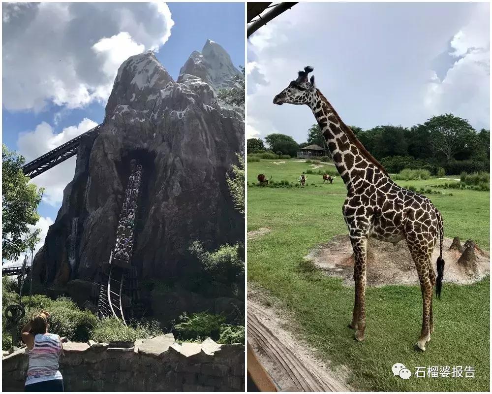 人生旅行清单必去的地方,游记人生