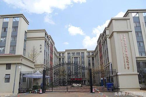 盘龙区私立小学排名前十名,盘龙区公立学校