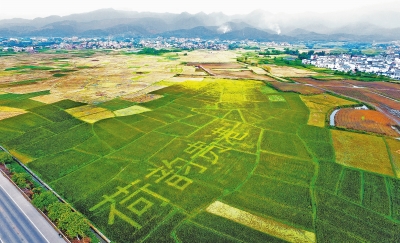 甯﹀姩鍐滄皯澧炴敹鑷村瘜鍔╁姏涔℃潙鎸叴,甯﹀姩鍐滄皯澧炴敹鑷村瘜鍔╂帹涔℃潙鎸叴
