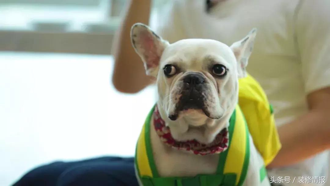 帅气舞蹈家的小阳台变身北欧风“秘密花园”诗和远方！