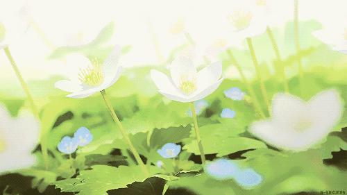 去天府绿道怎么走,去天府绿道需要做什么准备