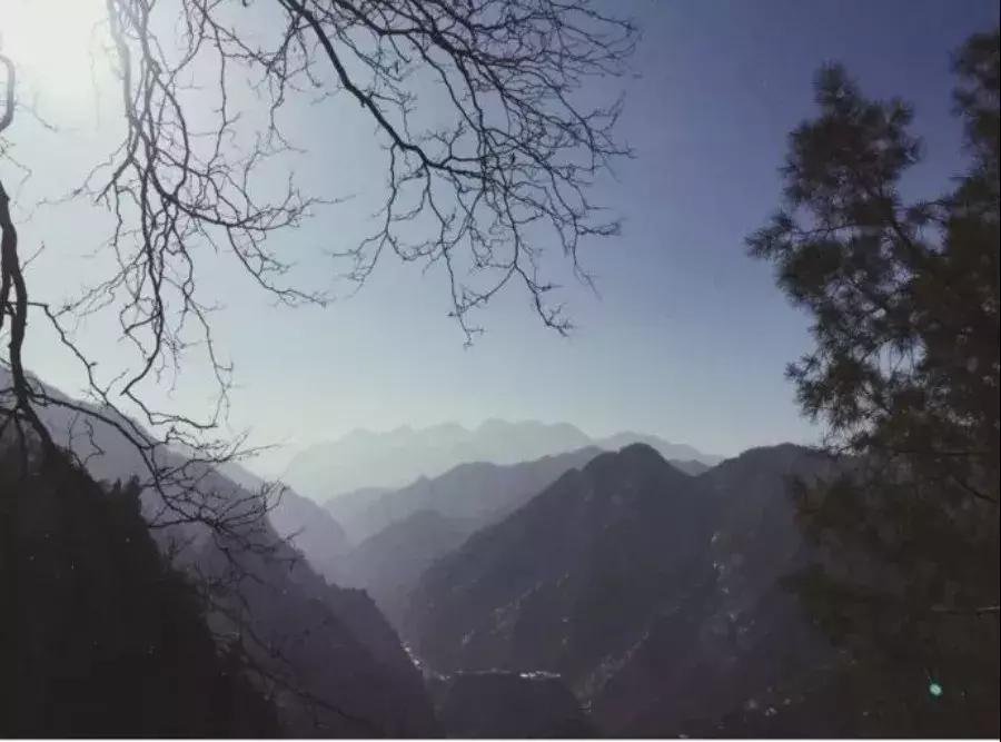 23岁踏入终南山，一处小院，一袭布衣，她的日子比小龙女还逍遥