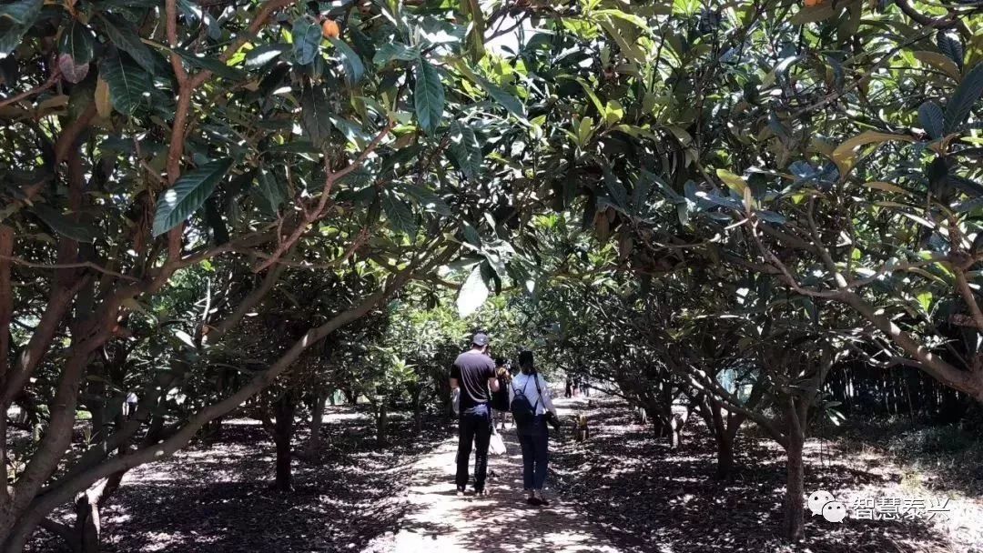 南通三农增产增收,海门三个高质量发展主题