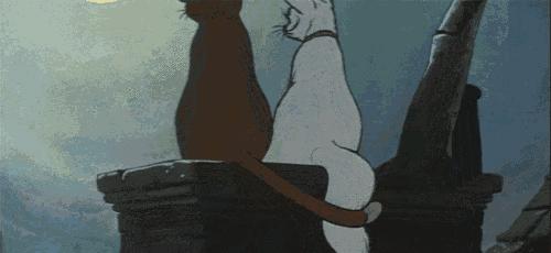 女朋友很黏人就代表她很爱你吗,女朋友该怎么黏人