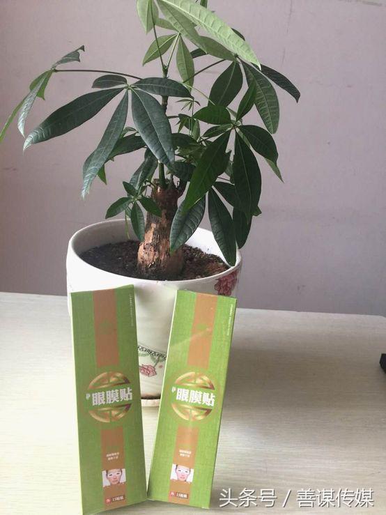 老藤世家滕明华，一生免费行医，曾因不落世俗拒绝三千万融资