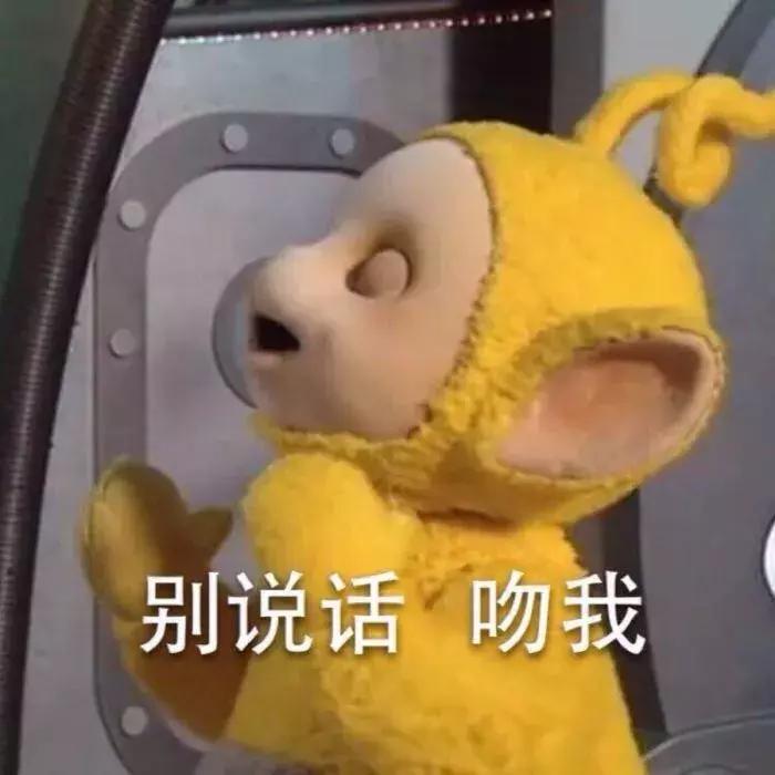 秋葵与曼陀罗的区别,秋葵与曼陀罗花