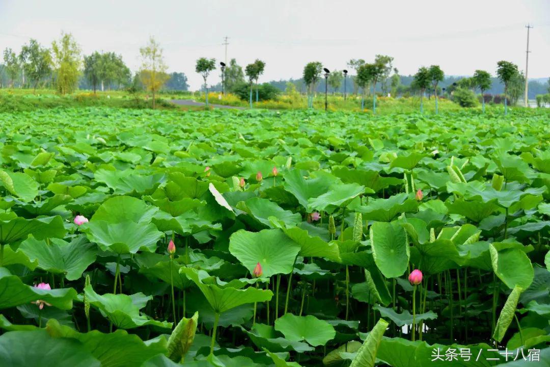 陈柏霖纳米比亚自驾游视频,陈柏霖在沙漠开车