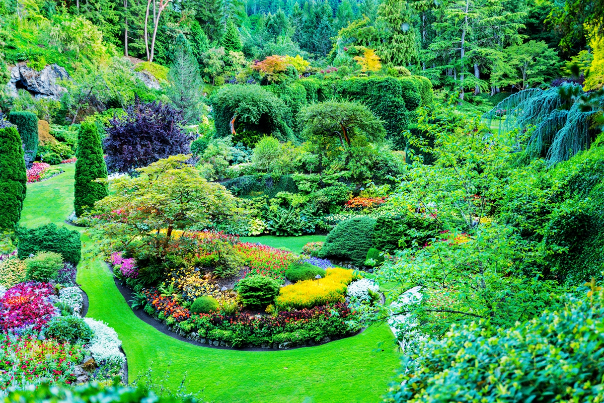 厉害了，加拿大人大概把所有热情都给了它？猜猜是什么