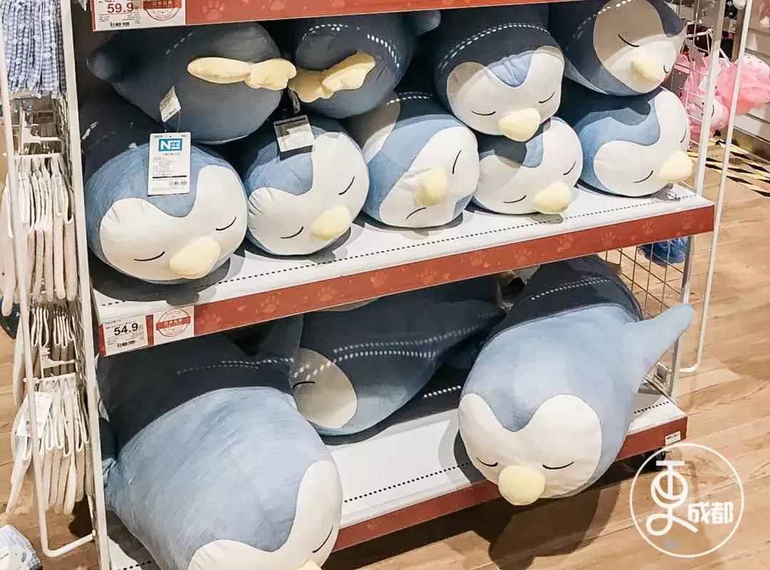 在成都花了30块钱,在成都花很少的钱可以赚钱的项目