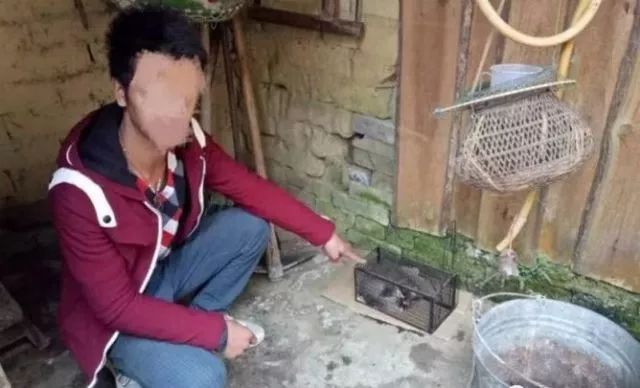 90后女主播非法直播获利50百万,女主播直播2年牟利150万