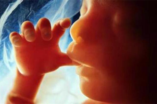 孕期肚子咕噜咕噜响是怎么回事,孕期肚子里咕噜咕噜是胎动么