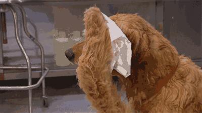 中暑的征兆有什么,中暑和夏天心梗区别