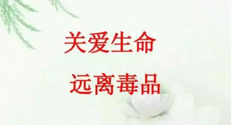 浙江首次查获迷幻药“蓝精灵”危害是第一代*品毒**的1000倍