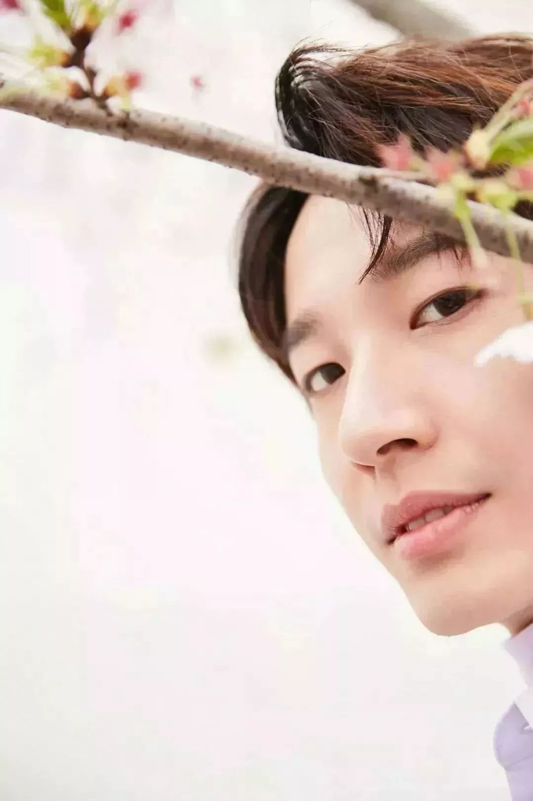 美妆博主亲测遮瑕膏,博主亲测护肤