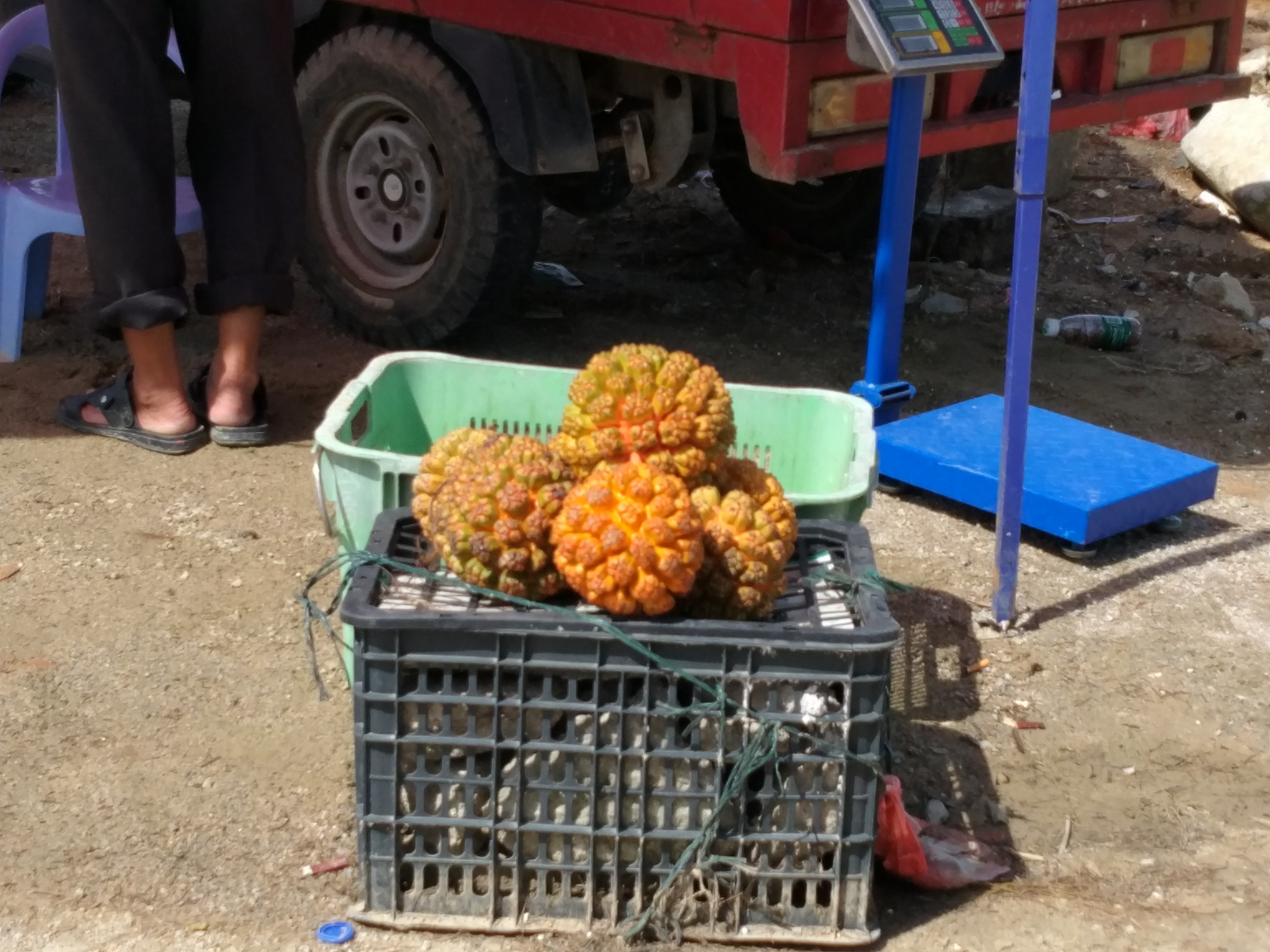 广东海边最美酒店,广东最好的海边观海酒店