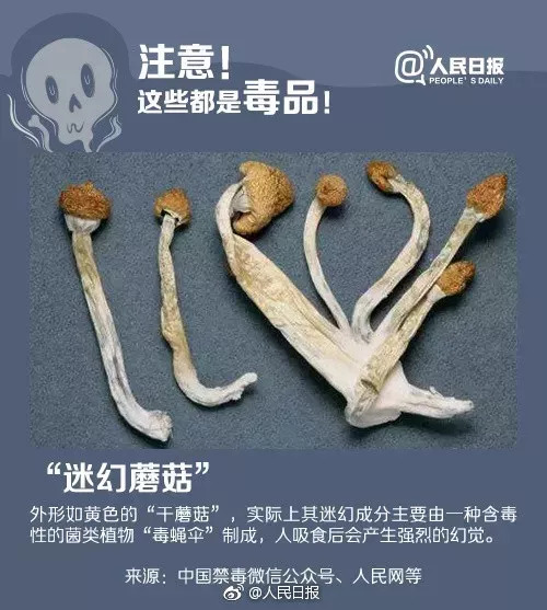 新型违禁品毒品有哪些,新型毒品发作的危害