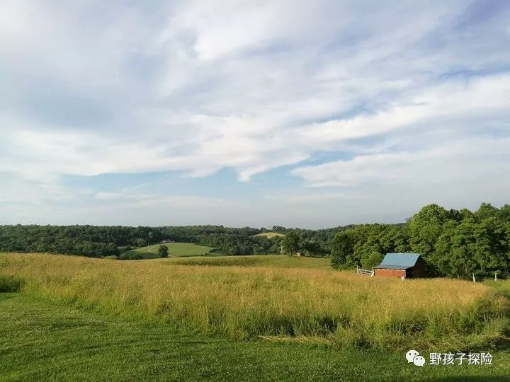 持枪证的考试条件,怎么考狩猎持枪证