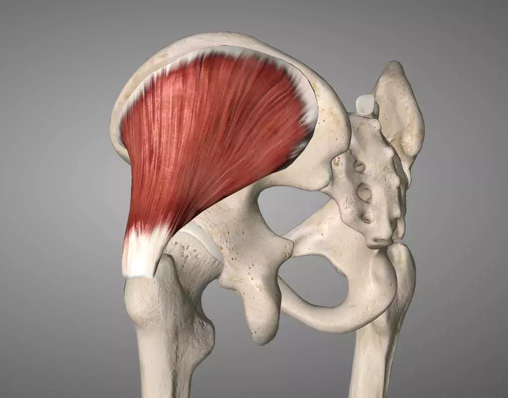 跑者”专利”:一文看懂膝外侧疼痛如何解决