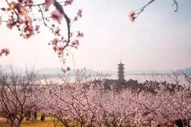 徐州下一站,徐州下一轮拆迁范围