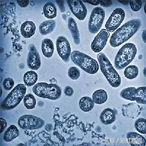 央视曝光！厦门那些喜欢喝进口奶的要当心了，原来水如此之深！