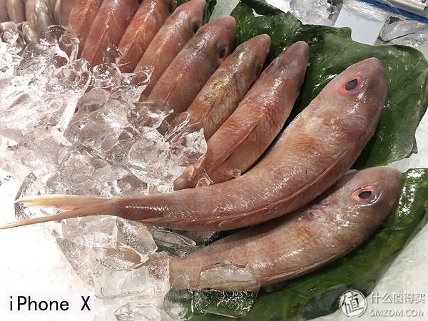 摩托罗拉motoz3测试,摩托罗拉motoz3开箱