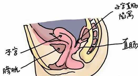 女性不孕需要做些什么检查,女性不孕需要去做哪些检查