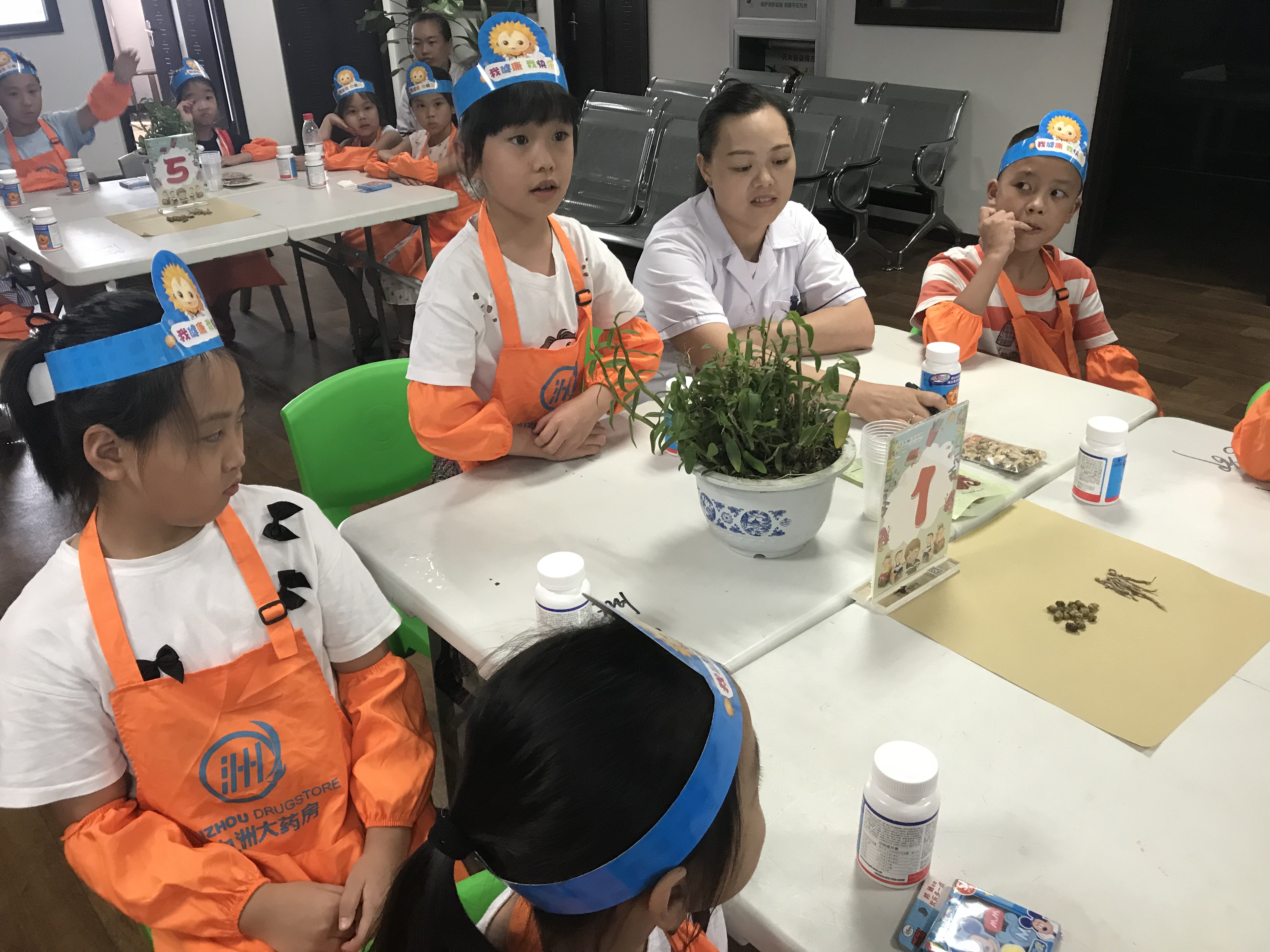 中华小药师夏令营第六课：认识神奇的仙草——石斛