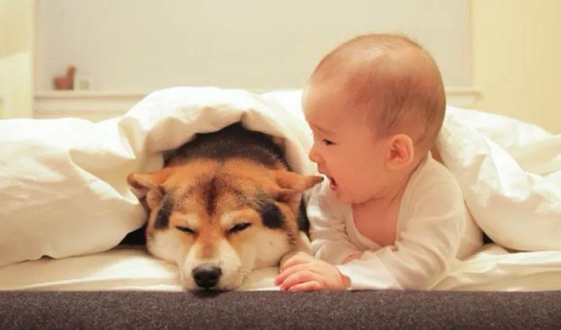 眼睛痒打喷嚏过敏怎么办,喷嚏鼻痒感冒吃什么药