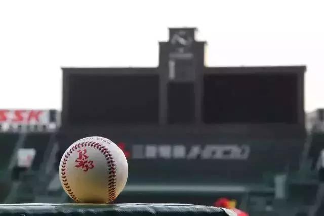 甲子园的少年,甲子园的哭泣