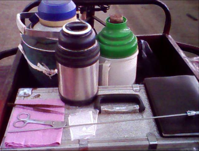 细管精液输精程序