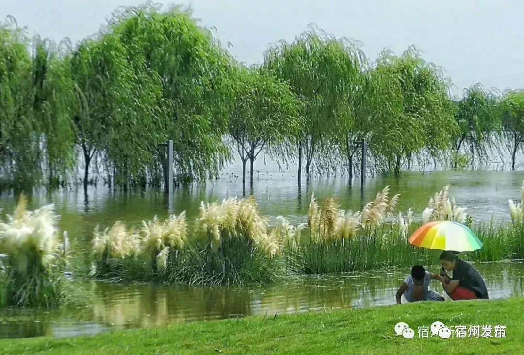 新汴河风景带,新汴河景色真美