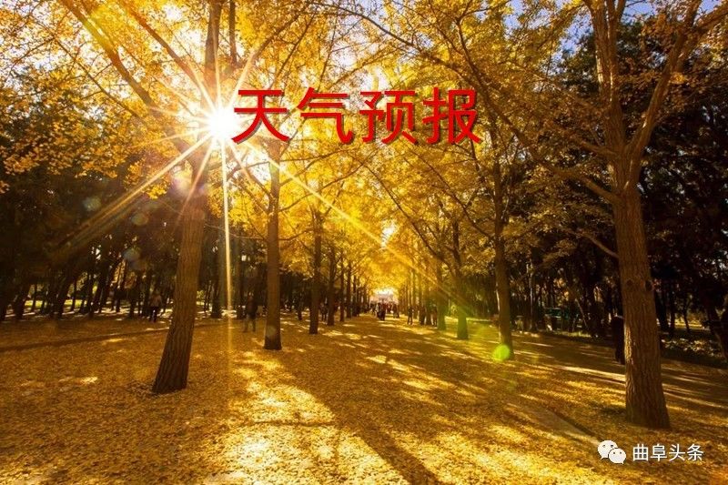 喜报曲阜,曲阜十大产业企业