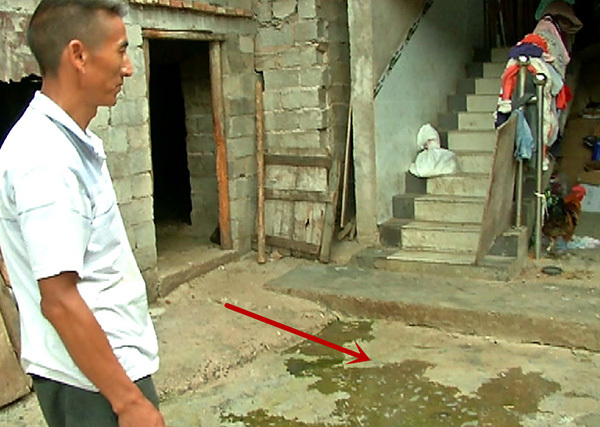 自家犬咬死小孩,下司犬突然咬死主人