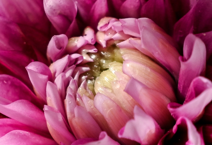 尼康Z7II全画幅微单评测视频,尼康z7微单深度评测