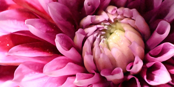 尼康Z7II全画幅微单评测视频,尼康z7微单深度评测