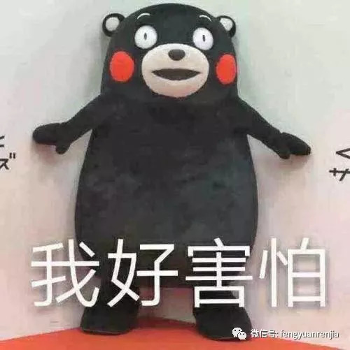 今年登革热会爆发吗,登革热高峰期要警惕