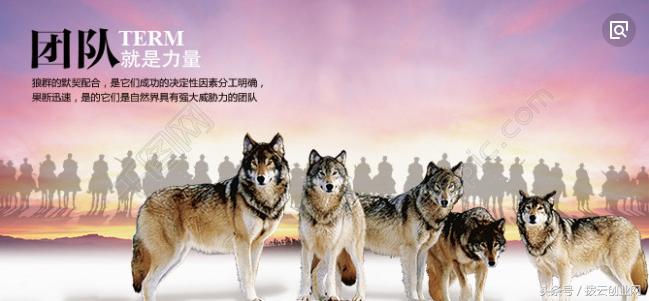 创业与团队精神融合的案例,怎么找创业的团队合作