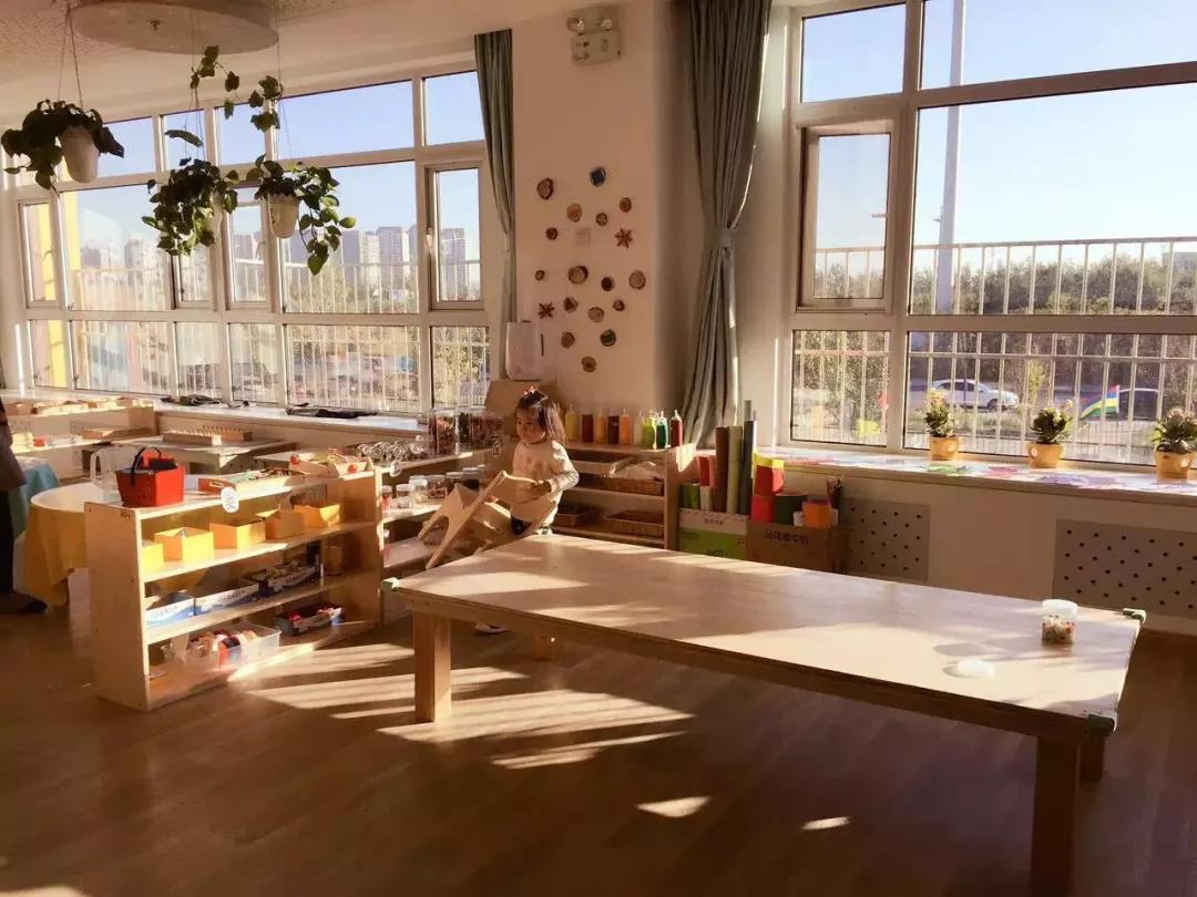 蒙氏和华德福瑞吉欧,蒙氏华德福和瑞吉欧哪个好