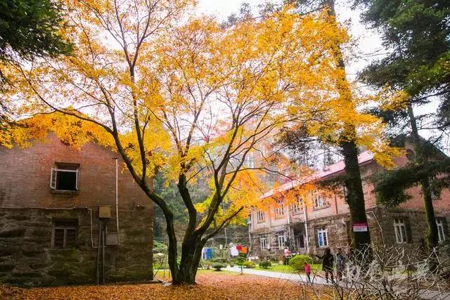 从没有哪座山有庐山的诗情画意,庐山有哪些有名的景观