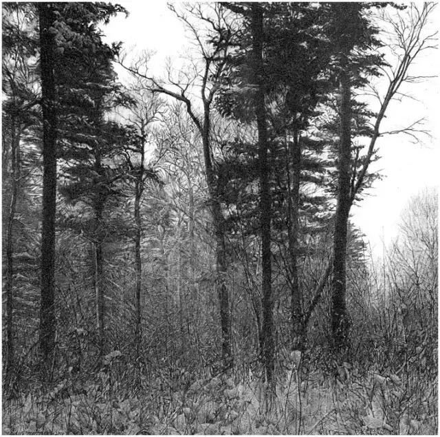 顶级超写实钢笔画,最惊艳的钢笔画大神