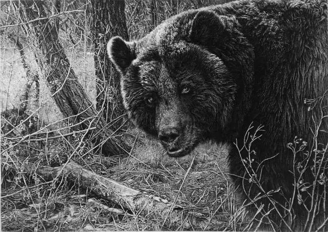 顶级超写实钢笔画,最惊艳的钢笔画大神