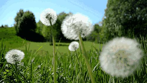 天呐！大爷3年吃掉100多支“皮炎平”软膏！医生一问原因都懵了