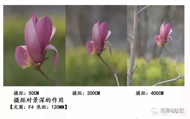 初学者单反相机入门教程,如何学习单反数码相机的简单操作