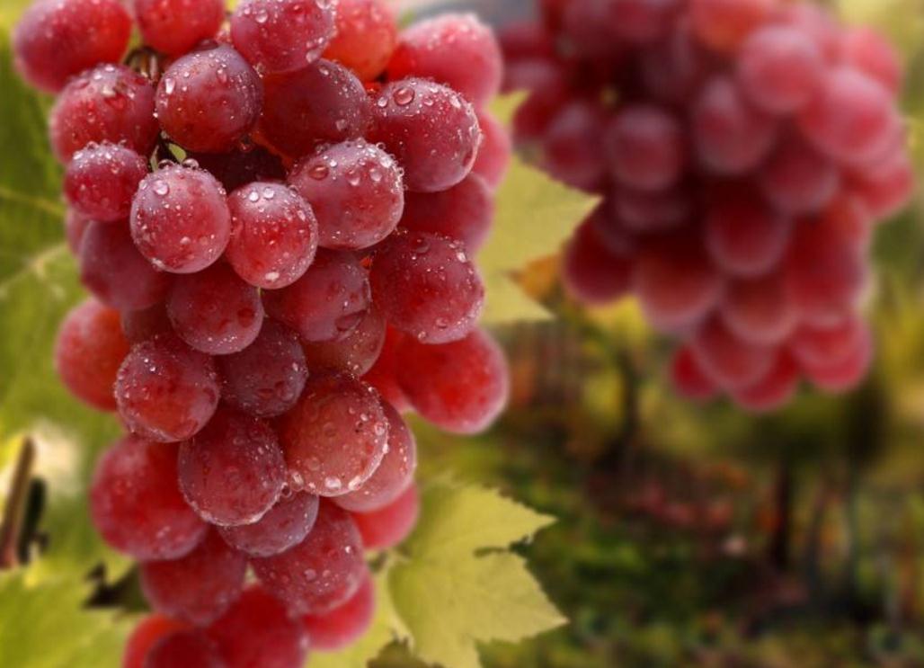 独来独往的人出现的三种气质,做人好的人身上都有的特征