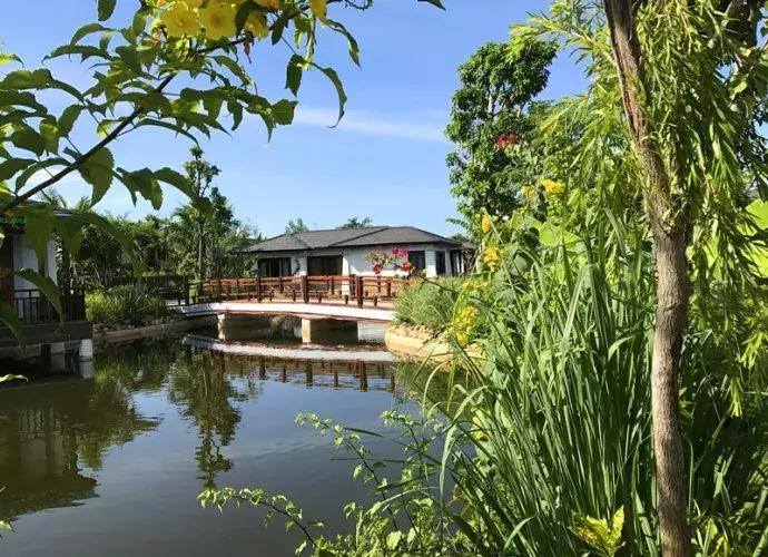 芽庄玩法大全,芽庄轻松玩乐视频