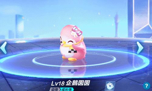 qq飞车手游猫猫宠物,qq飞车手游目前平民玩家最好宠物