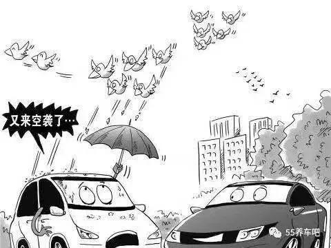 车身有鸟粪怎么能清洗干净,车子鸟屎怎么处理