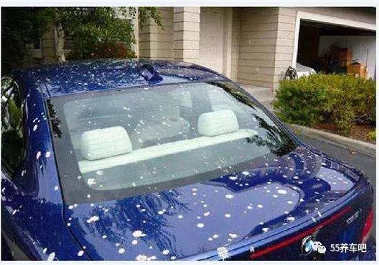 车身有鸟粪怎么能清洗干净,车子鸟屎怎么处理